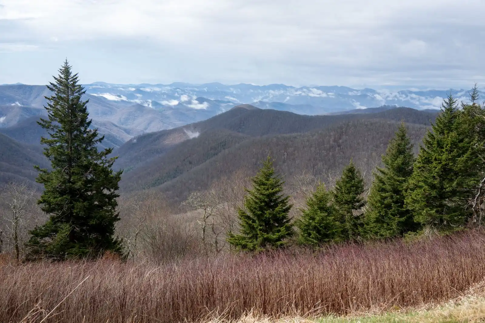 Blue Ridge Mountains covered in spring forest